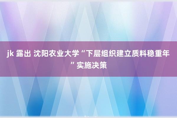 jk 露出 沈阳农业大学“下层组织建立质料稳重年”实施决策