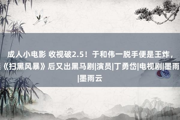 成人小电影 收视破2.5！于和伟一脱手便是王炸，继《扫黑风暴》后又出黑马剧|演员|丁勇岱|电视剧|墨雨云