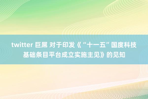 twitter 巨屌 对于印发《“十一五”国度科技基础条目平台成立实施主见》的见知