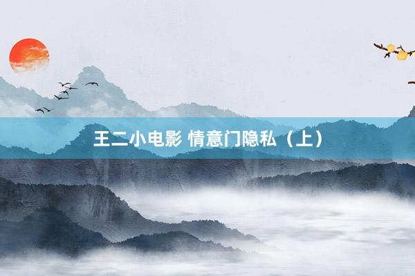 王二小电影 情意门隐私（上）
