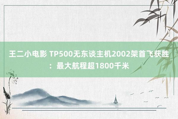 王二小电影 TP500无东谈主机2002架首飞获胜：最大航程超1800千米